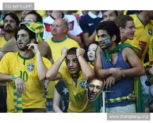 深度解析千亿球友的社交平台，如何满足不同年龄层球迷的多样化需求